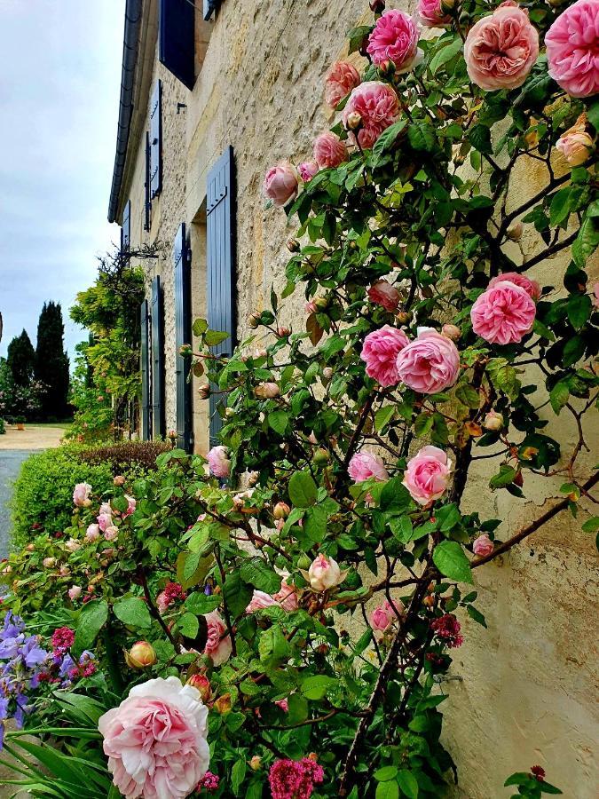 Le Clos De L'Amiral Preguillac Bagian luar foto